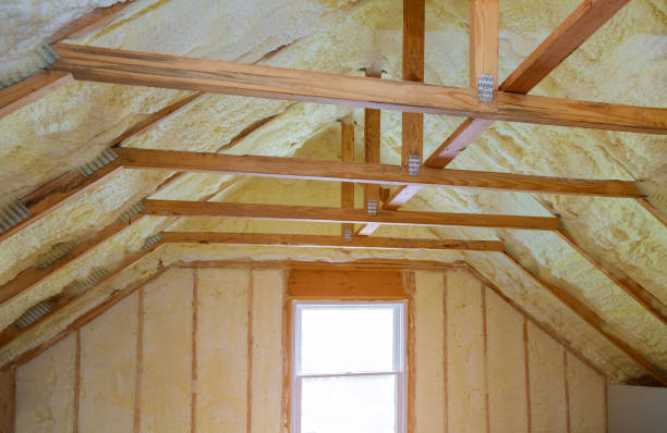 Best Cellulose Insulation in Sultan, WA